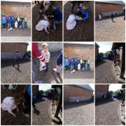 Pèle mêle 2-chasse aux oeufs